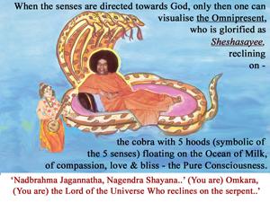 dtSheshaSai
