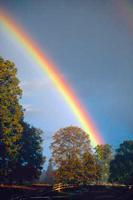smRainbowdark